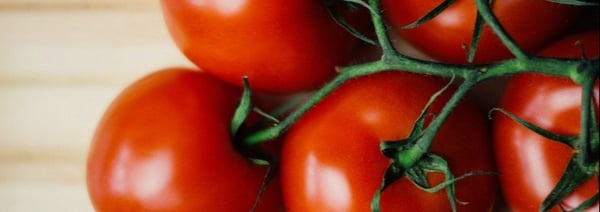 Tomatoes | IFIS Publishing