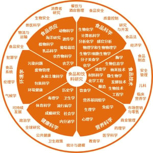 Multidisciplinary content orange (Chinese)