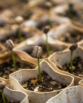 “Critical Gap” in Scientific Understanding of Foods, Study Says