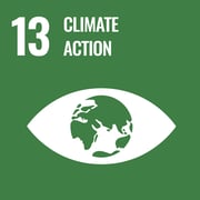 SDG Goals - Climate Action | IFIS Publishing