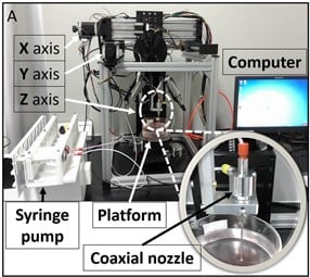 Figure 1-1