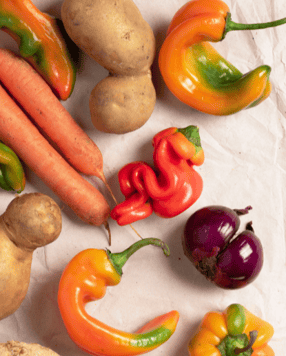 Advancements in Food Waste Research: Sustainable Solutions and Future Directions