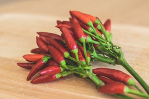 Chilli Peppers | IFIS Publishing Chilli Peppers | IFIS Publishing