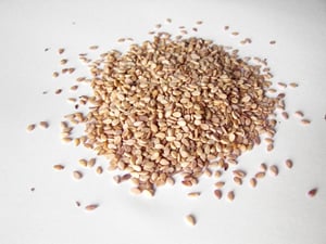 Sesame Seeds | IFIS Publishing