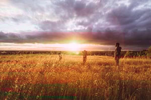 Vitamin D | IFIS Publishing