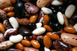 Assorted Beans | IFIS Publishing
