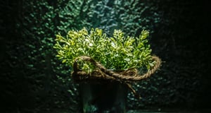 Agricultural Sustainability | IFIS Publishing