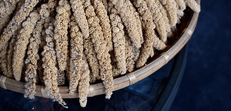 Millet sticks, pexels-nnitatong-185275182-11519186