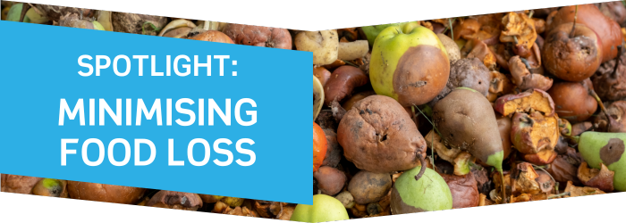 Spotlight: Minimising Food Loss