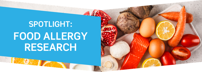 Newsletter heading, spotlight food allergy