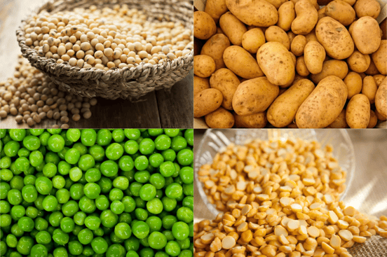 Plant Proteins