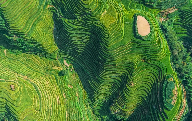 Topography