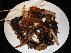 Edible insects | IFIS Publishing