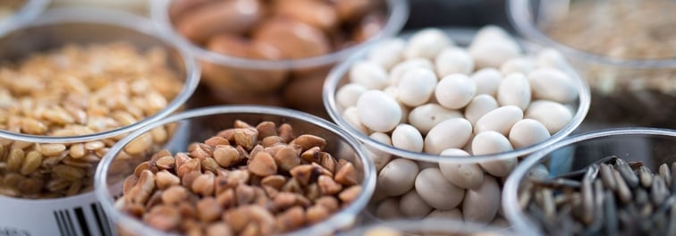 “Critical Gap” in Scientific Understanding of Foods, Study Says