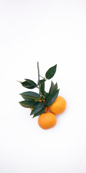 Oranges | IFIS Publishing