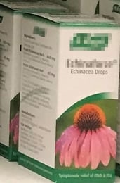 Echinacea drops | IFIS Publishing