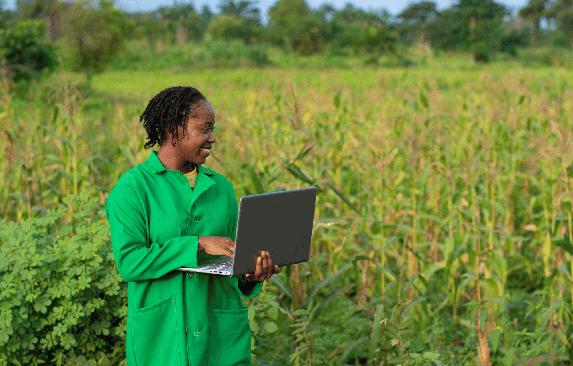 researcher-using-laptop-in-agriculture-field